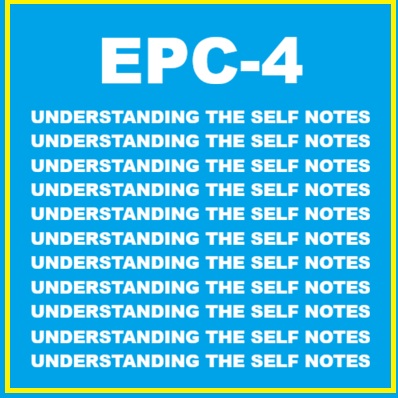 UNDERSTANDING THE SELF NOTES